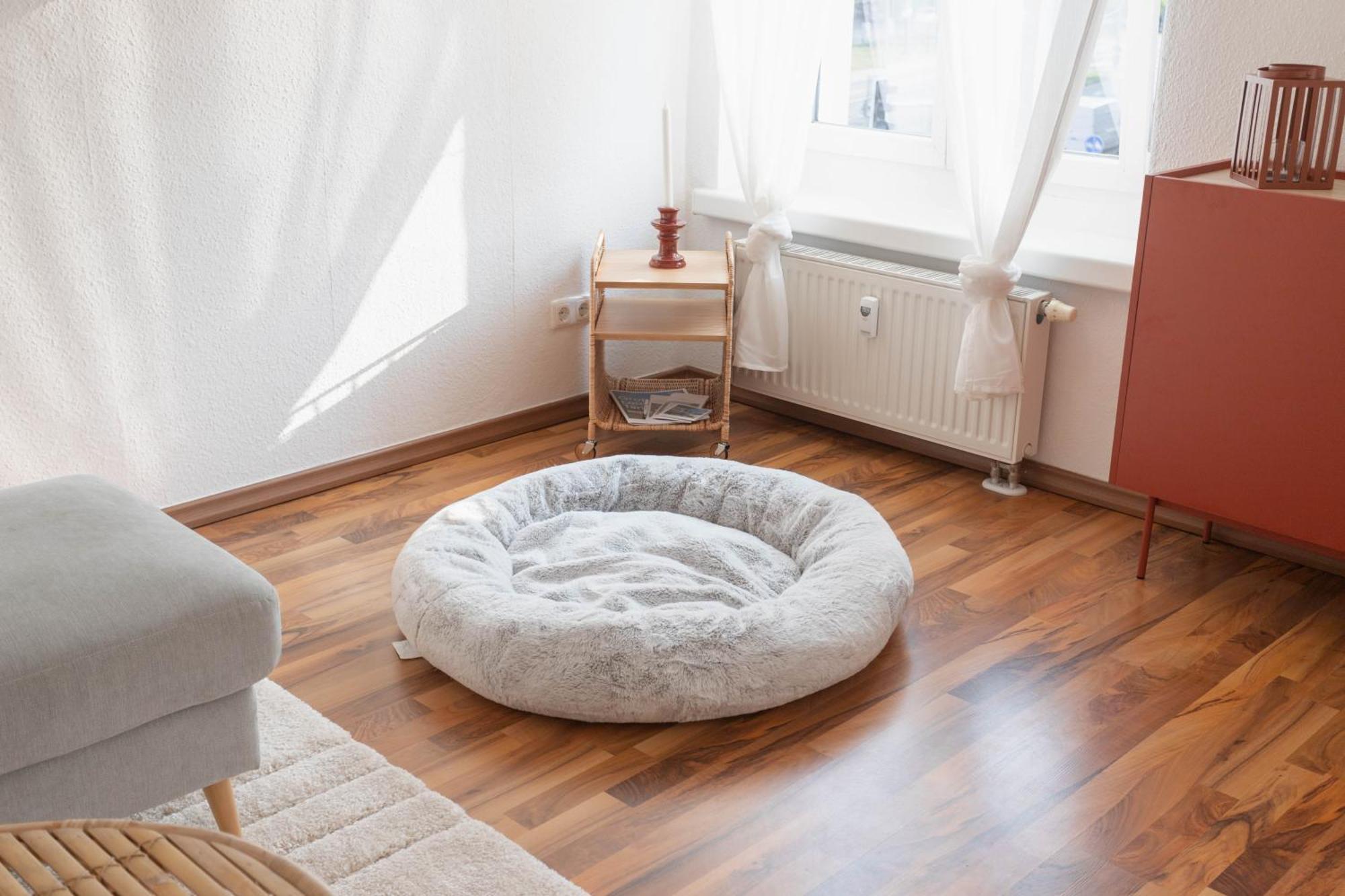 Dessau-Rosslau Wellness Lounge Am Bauhausmuseum 아파트 외부 사진